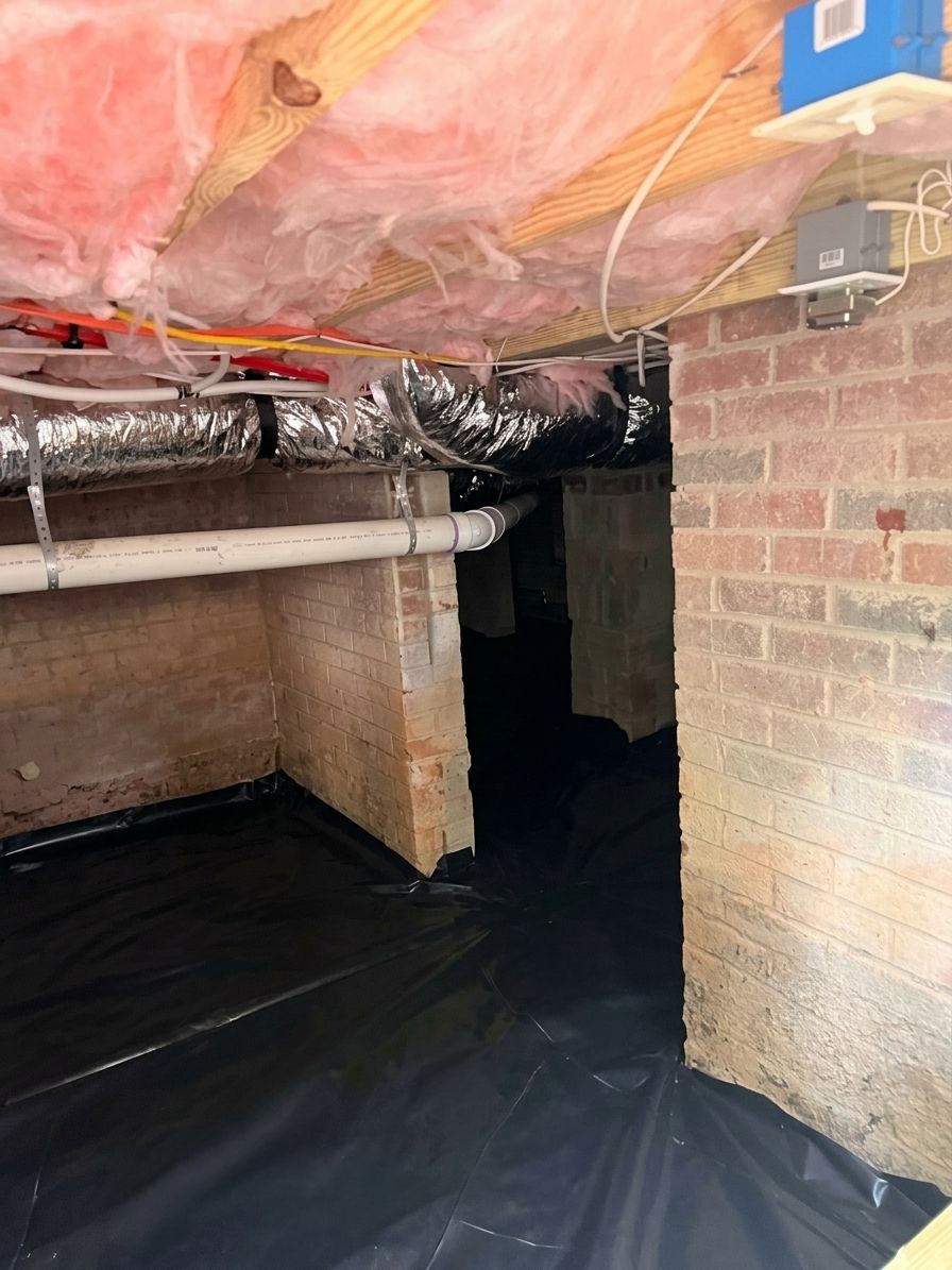 Crawlspace with new black vapor barrier on the ground and pink insulation between the floor joists